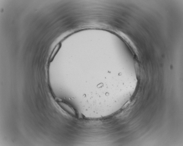 X0000064751238200603131335