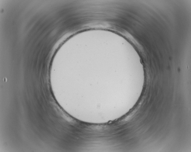 X0000064751240200603131335