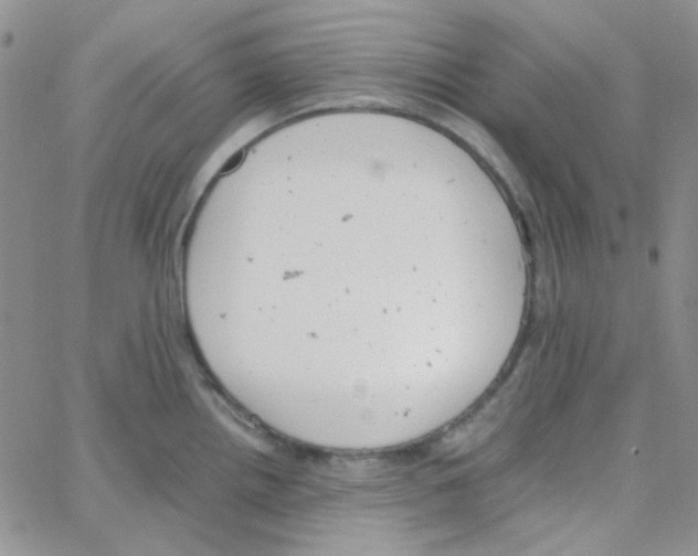 X0000064751242200603131335