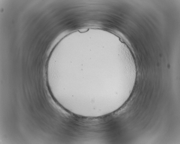 X0000064751243200603131335