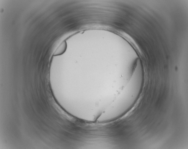 X0000064751244200603131335