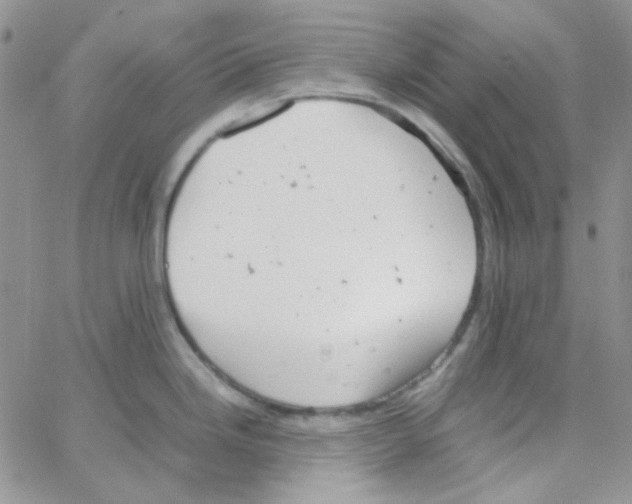 X0000064751246200603131335