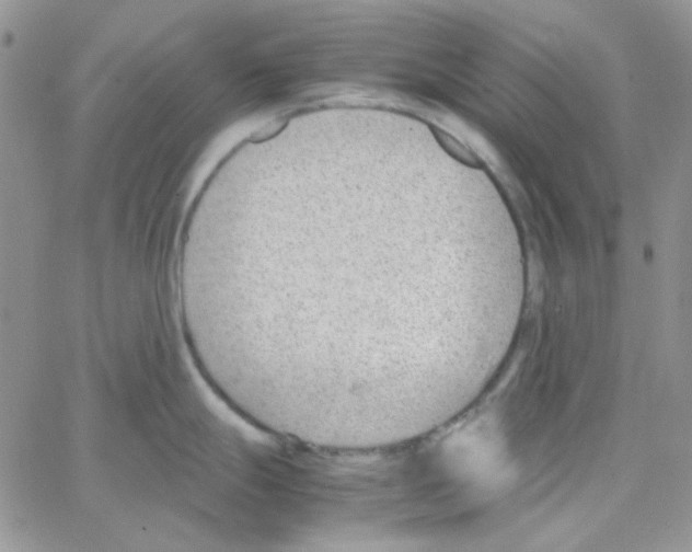 X0000064751247200603131335