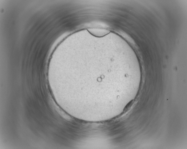 X0000064751248200603131335