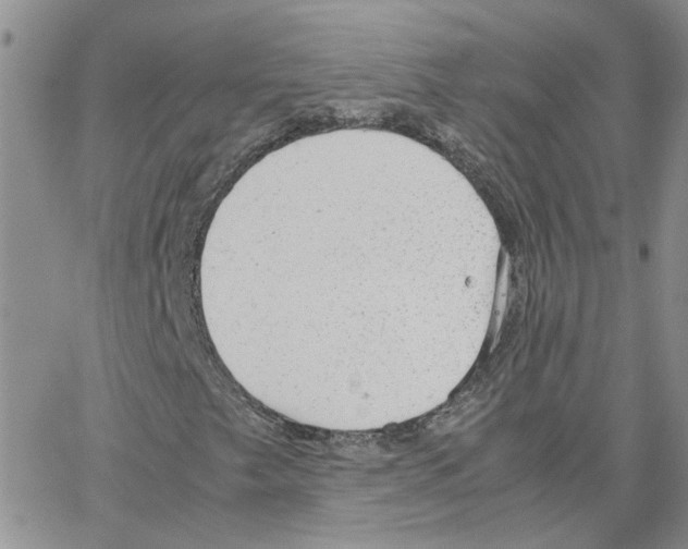 X0000064751249200603131335