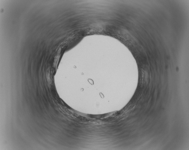 X0000064751250200603131335