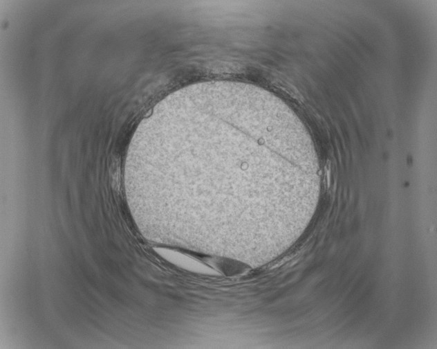 X0000064751251200603131335