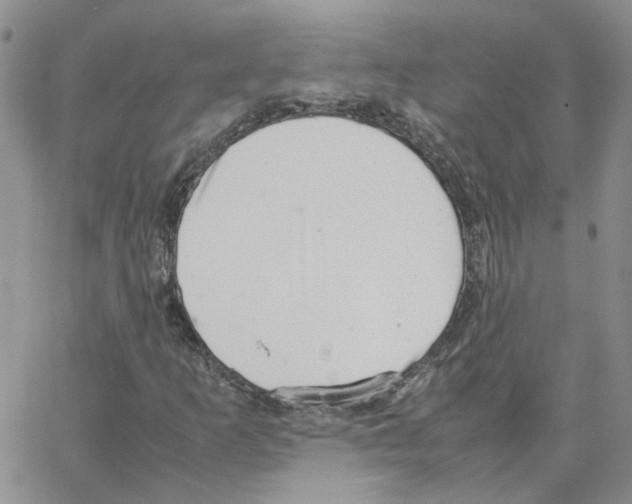 X0000064751253200603131335