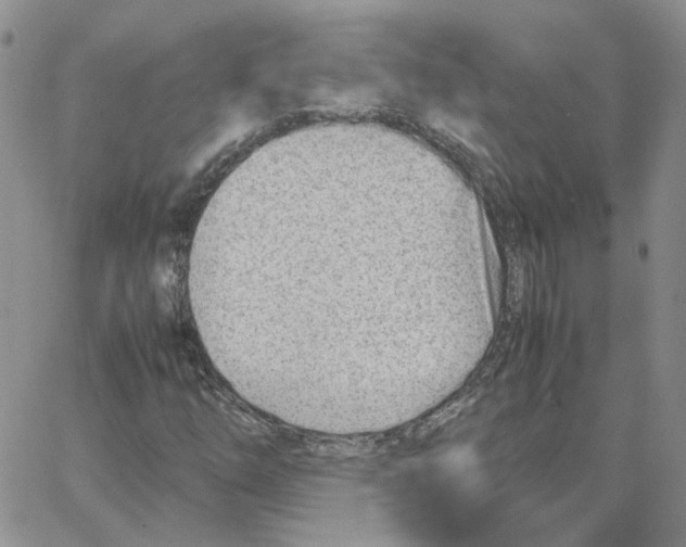 X0000064751254200603131335