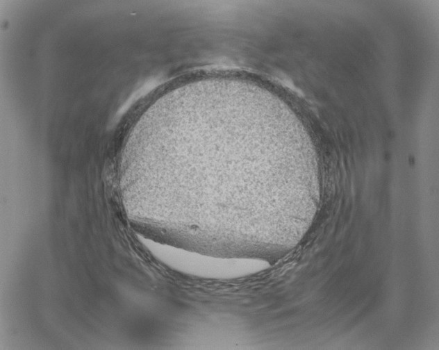 X0000064751255200603131335