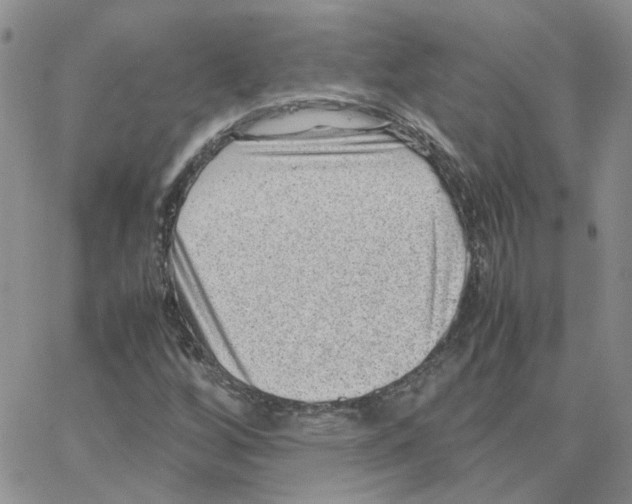 X0000064751256200603131335