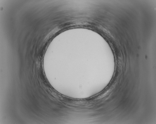 X0000064751257200603131335