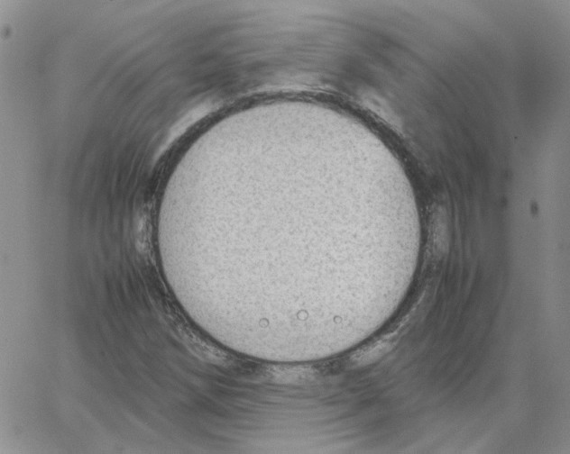 X0000064751258200603131335