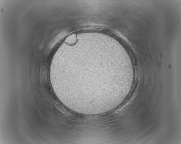 X0000064751259200603131335