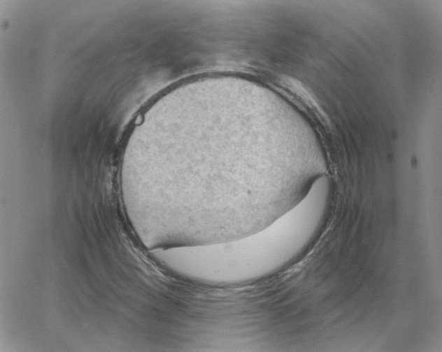 X0000064751260200603131335