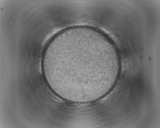 X0000064751262200603131334