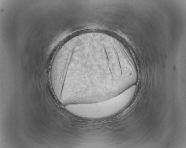 X0000064751263200603131334