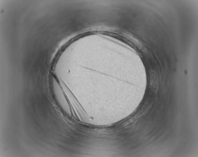 X0000064751264200603131334