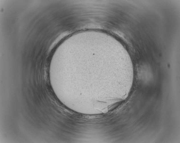 X0000064751266200603131334