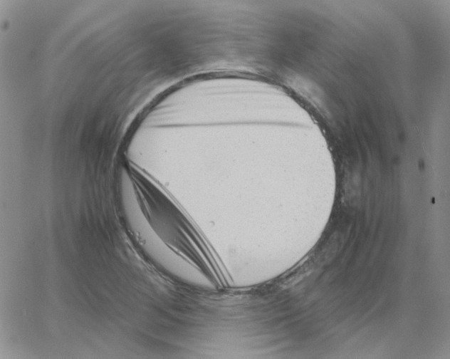 X0000064751268200603131334