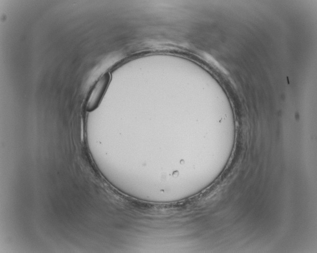 X0000064751269200603131334