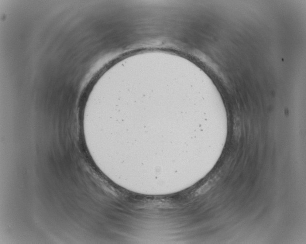 X0000064751270200603131334