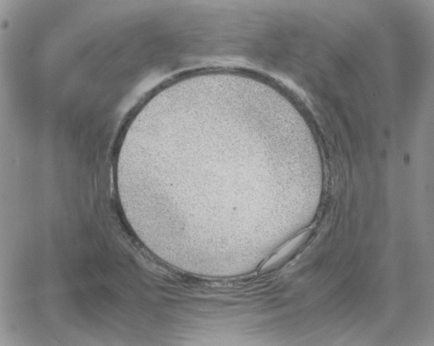 X0000064751271200603131334