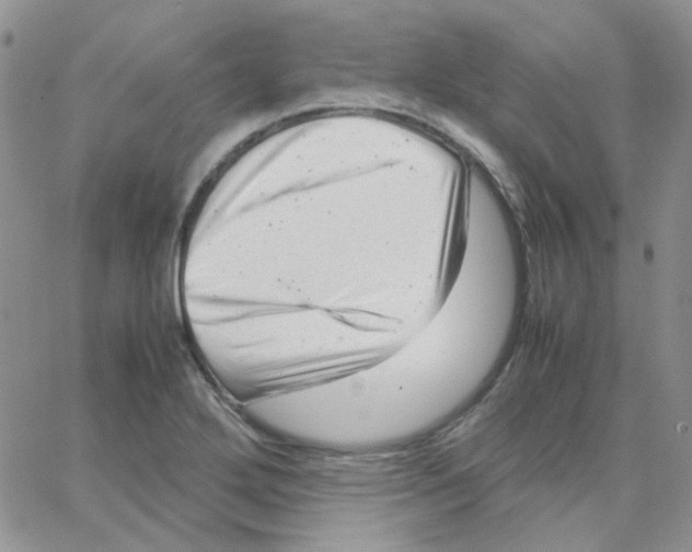 X0000064751272200603131334