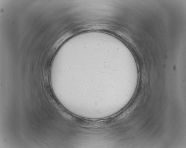 X0000064751273200603131334