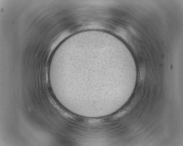 X0000064751274200603131334