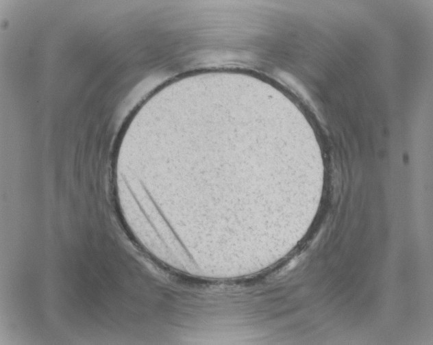 X0000064751277200603131334