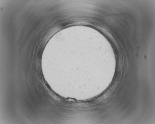 X0000064751281200603131334