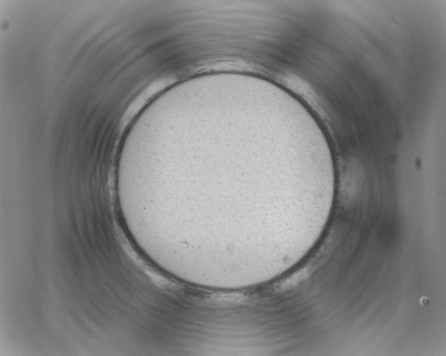 X0000064751282200603131334