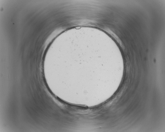 X0000064751285200603131334