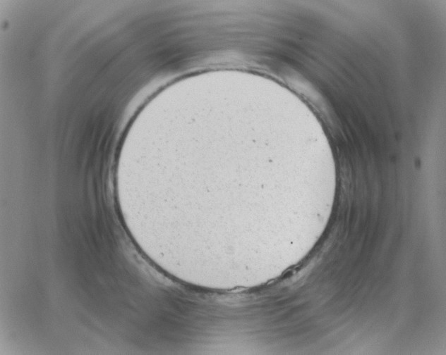 X0000064751288200603131334