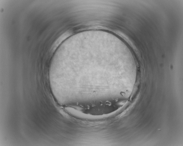 X0000064751289200603131334