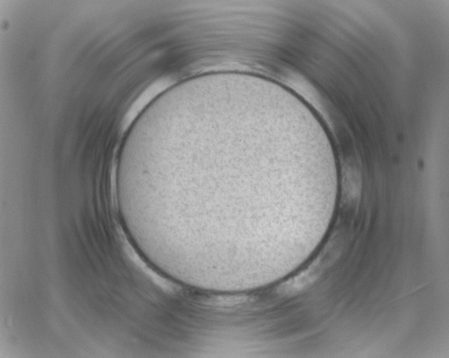 X0000064751290200603131334