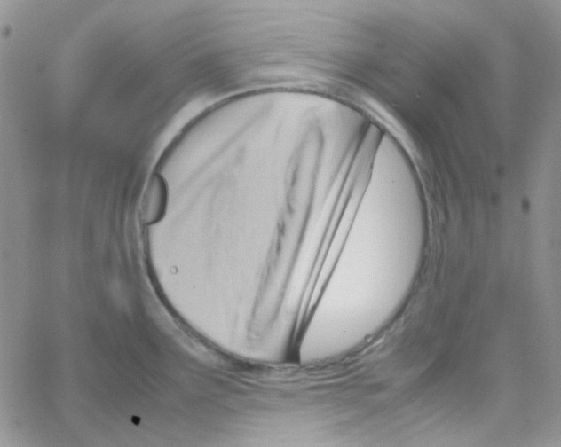 X0000064751291200603131334