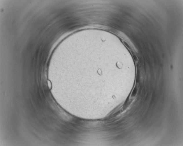 X0000064751292200603131334