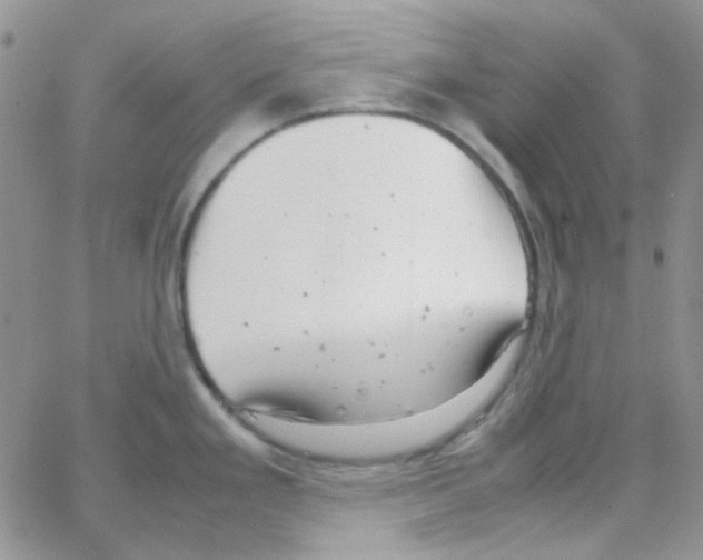 X0000064751293200603131334