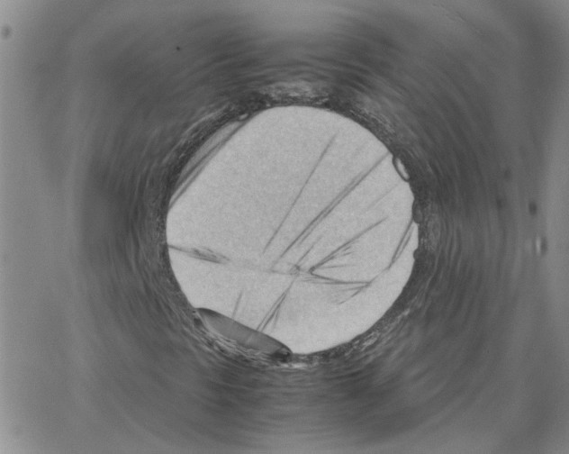 X0000064751297200603131333