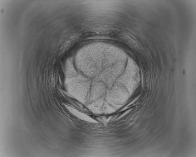 X0000064751298200603131333