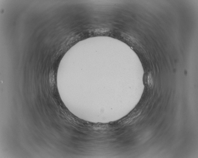 X0000064751299200603131333