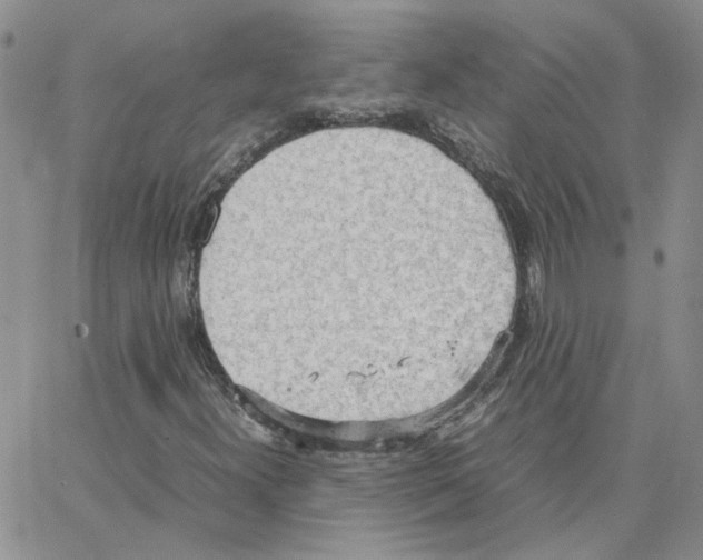 X0000064751300200603131333