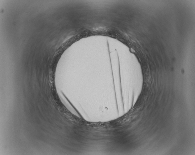 X0000064751301200603131333