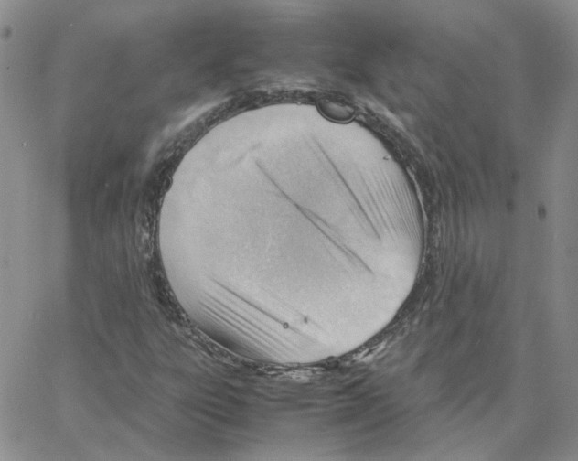 X0000064751303200603131333