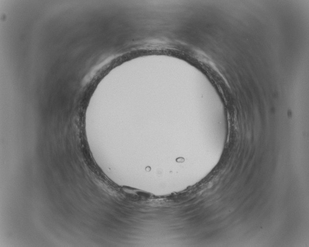 X0000064751304200603131333