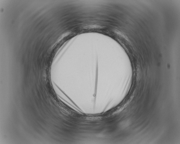 X0000064751305200603131333