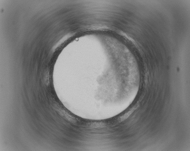 X0000064751306200603131333