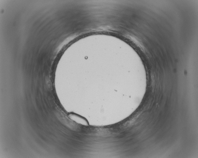 X0000064751308200603131333